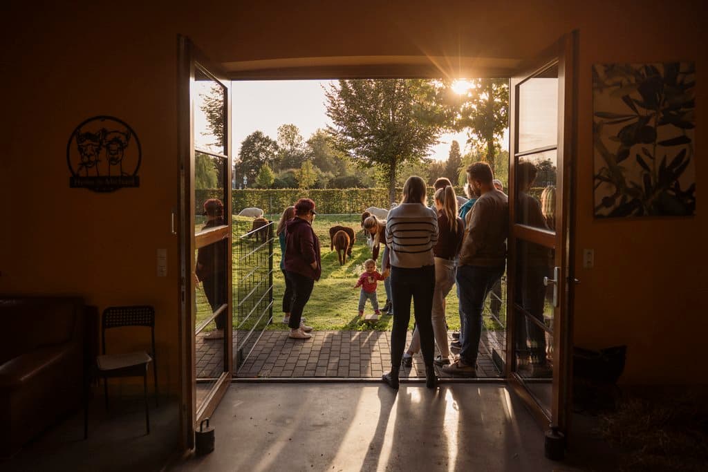 Blick aus dem Eventraum auf die Alpaka-Weide