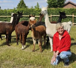 Portrait von Heike
